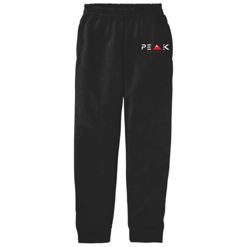 Youth Core Fleece Jogger Thumbnail
