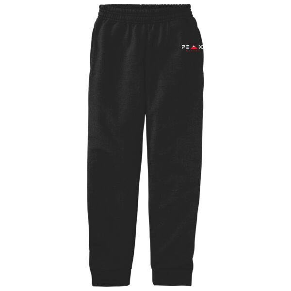 Youth Core Fleece Jogger Thumbnail